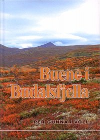 Omslag - Buene i Budalsfjella