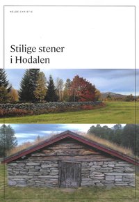 Omslag - Stilige steiner i Hodalen